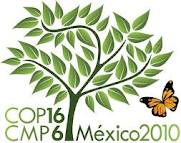 COP16